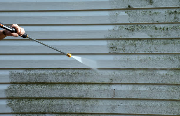Best Home Mold Removal  in Salem, WV