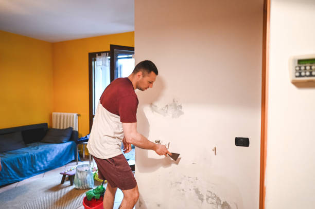 Best Black Mold Removal  in Salem, WV